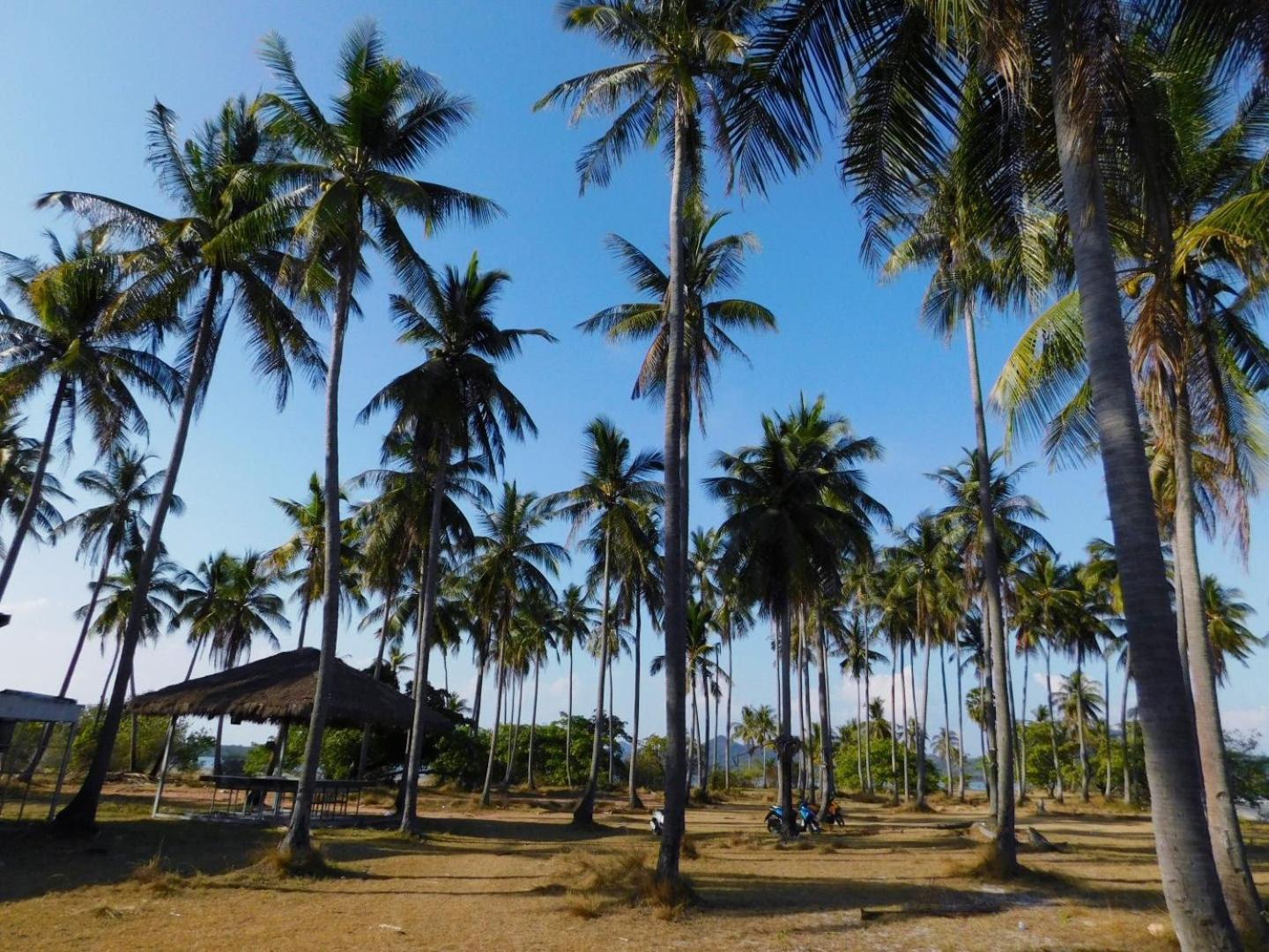 Swiss Bonihouse Koh Yao Yai Otel Ban Pru Nai Dış mekan fotoğraf