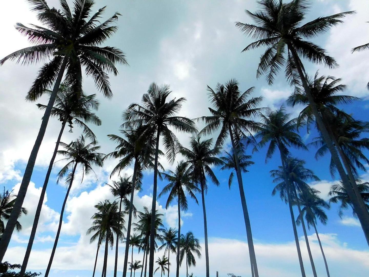 Swiss Bonihouse Koh Yao Yai Otel Ban Pru Nai Dış mekan fotoğraf