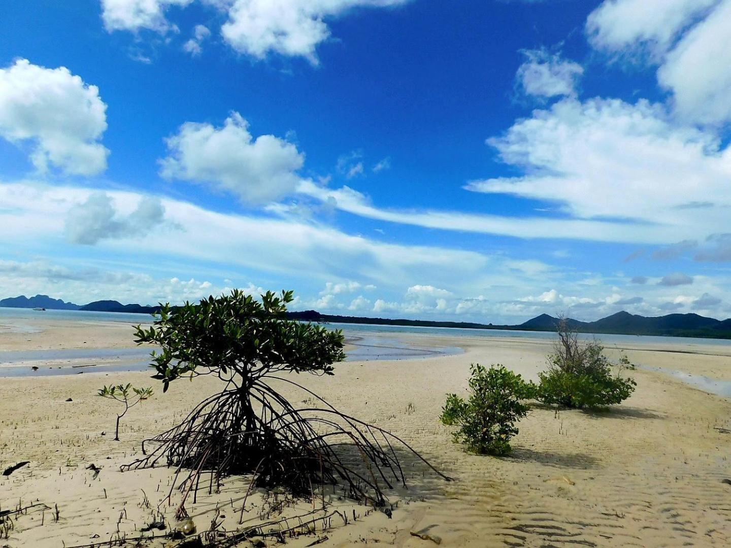 Swiss Bonihouse Koh Yao Yai Otel Ban Pru Nai Dış mekan fotoğraf