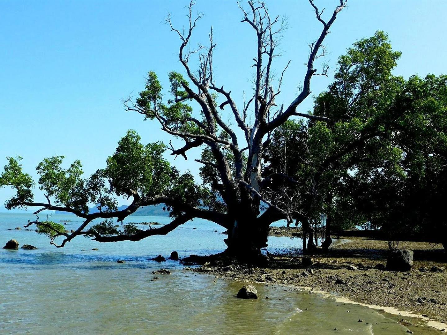 Swiss Bonihouse Koh Yao Yai Otel Ban Pru Nai Dış mekan fotoğraf