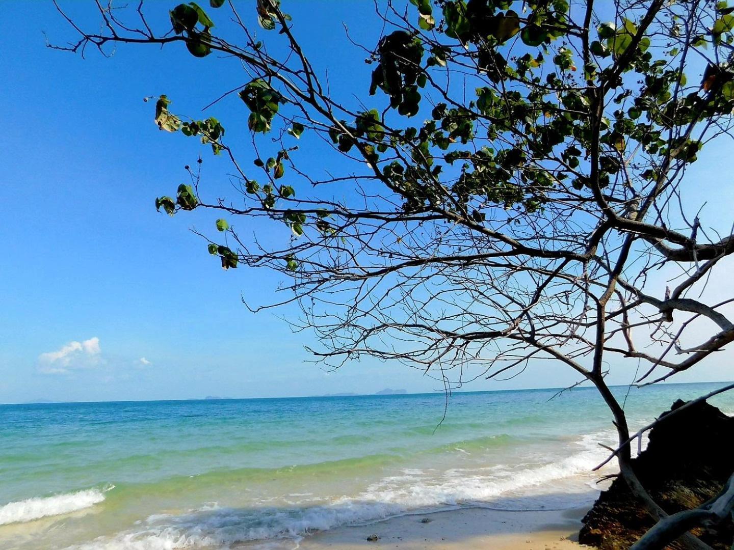 Swiss Bonihouse Koh Yao Yai Otel Ban Pru Nai Dış mekan fotoğraf