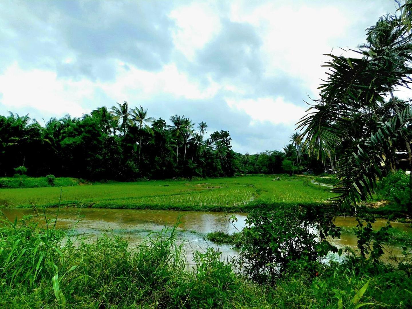 Swiss Bonihouse Koh Yao Yai Otel Ban Pru Nai Dış mekan fotoğraf